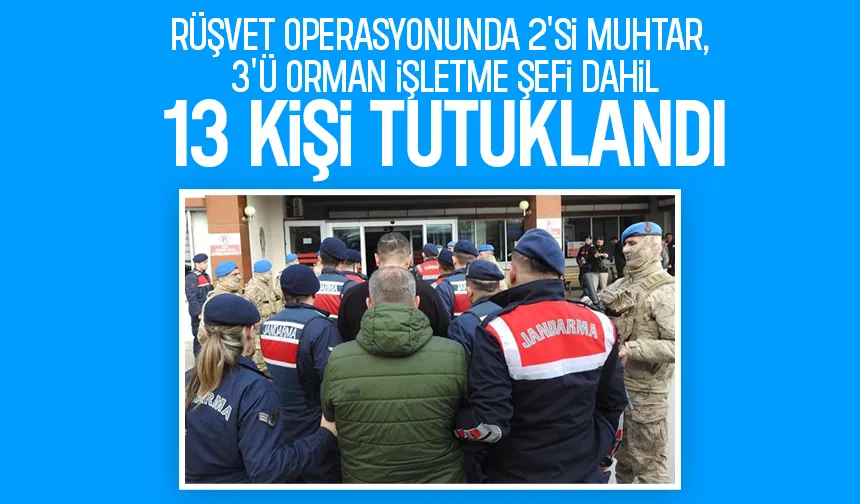 Rüşvet operasyonu: 2 muhtar, 3 orman işletme şefi dahil 13 kişi tutuklandı