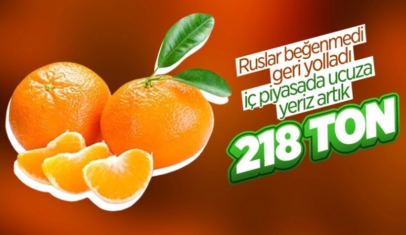 Rusya, 218 ton mandalinayı Türkiye’ye geri gönderdi