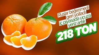 Rusya, 218 ton mandalinayı Türkiye’ye geri gönderdi