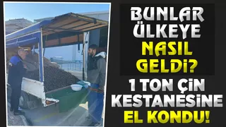 Sağlığı tehdit eden 1 ton Çin kestanesine el kondu