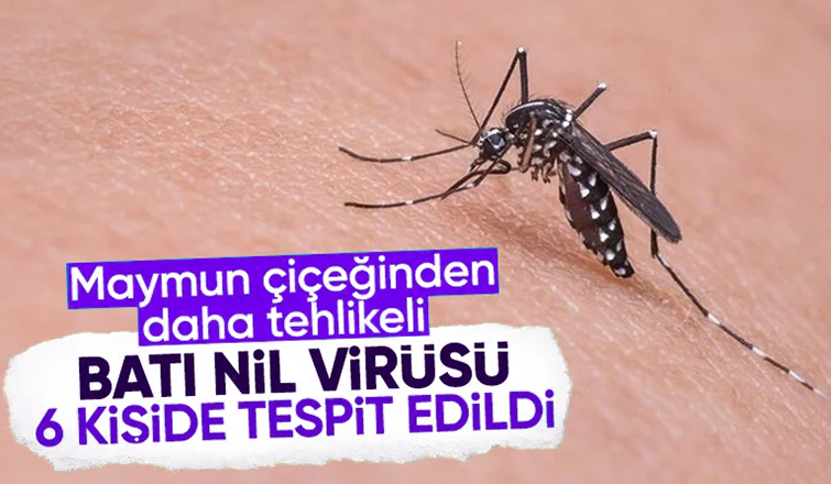 Sağlık Bakanlığı'ndan Batı Nil Virüsü açıklaması: 6 kişide tespit edildi