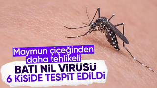 Sağlık Bakanlığı'ndan Batı Nil Virüsü açıklaması: 6 kişide tespit edildi