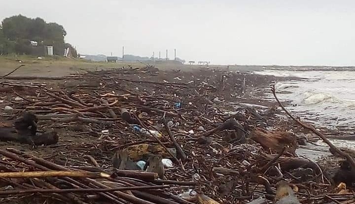 Sahiller odun deposuna döndü