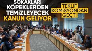 Sahipsiz hayvanlara yönelik kanun teklifi komisyonda kabul edildi