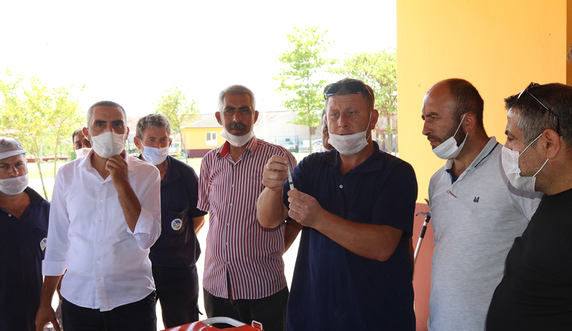 Sahipsiz sokak hayvanları için ortak hareket