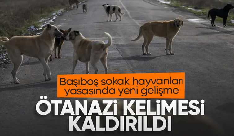 Sahipsiz sokak hayvanları yasasından 'ötanazi' kelimesi çıkarıldı
