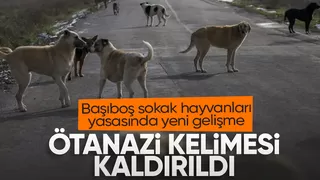 Sahipsiz sokak hayvanları yasasından 'ötanazi' kelimesi çıkarıldı