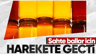 Sahte ballar için bakanlık harekete geçti