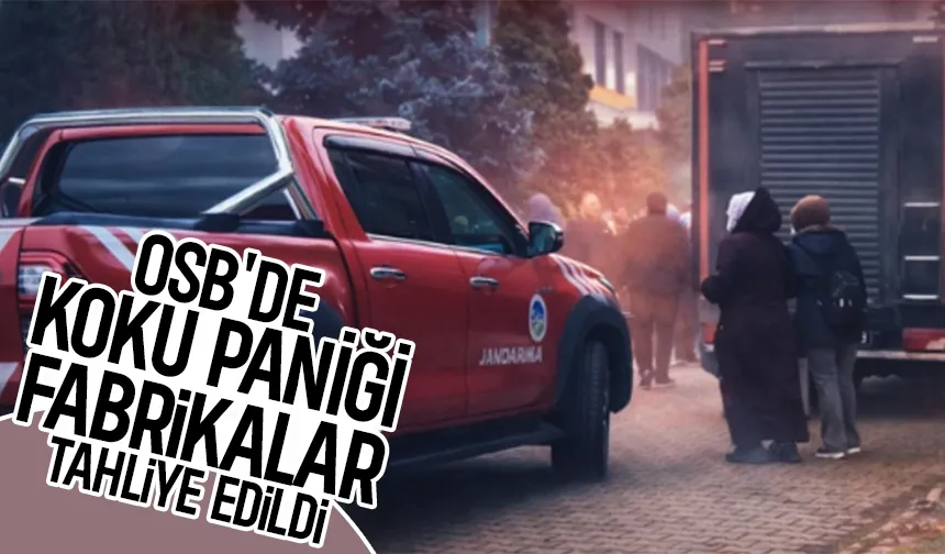 Sakarya 1. OSB'de koku alarmı; Fabrikalar tahliye edildi