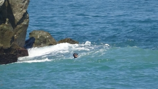 Sakarya AFAD kayıp Hasan Can'ı arıyor