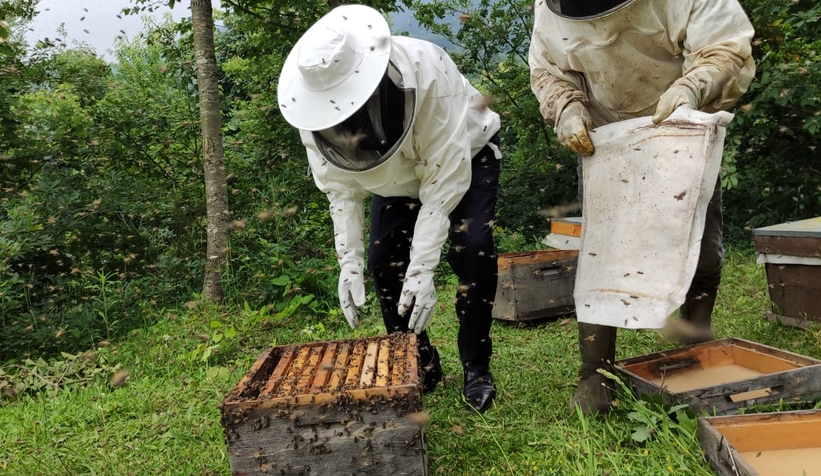 Sakarya arıcılıkta daha iyi noktalara ulaşacak