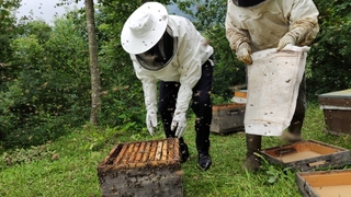 Sakarya arıcılıkta daha iyi noktalara ulaşacak