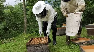 Sakarya arıcılıkta daha iyi noktalara ulaşacak