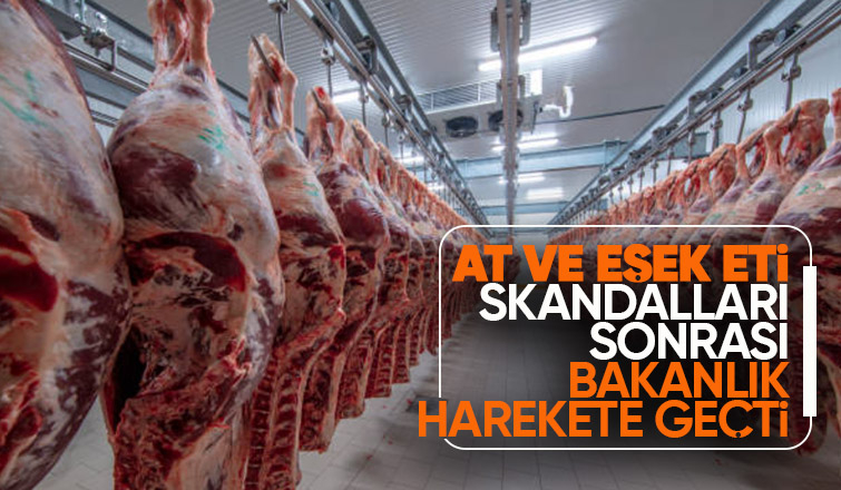 Sakarya başı çekiyordu Bakanlık harekete geçti