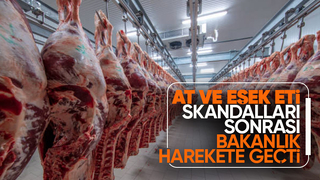 Sakarya başı çekiyordu Bakanlık harekete geçti