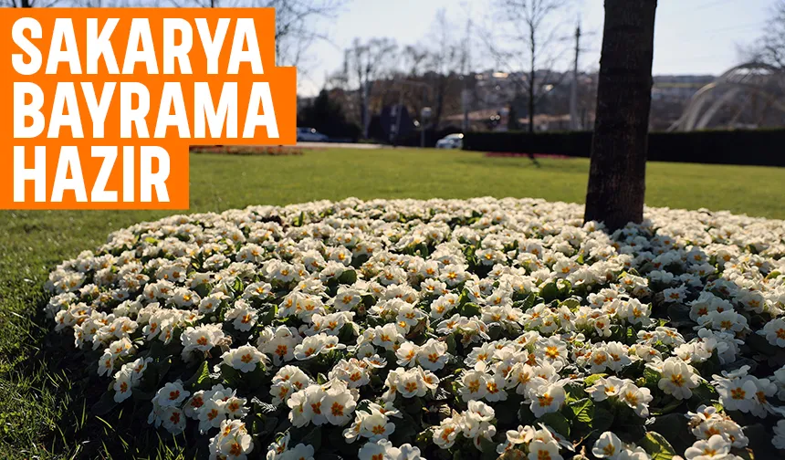 Sakarya bayrama hazırlandı