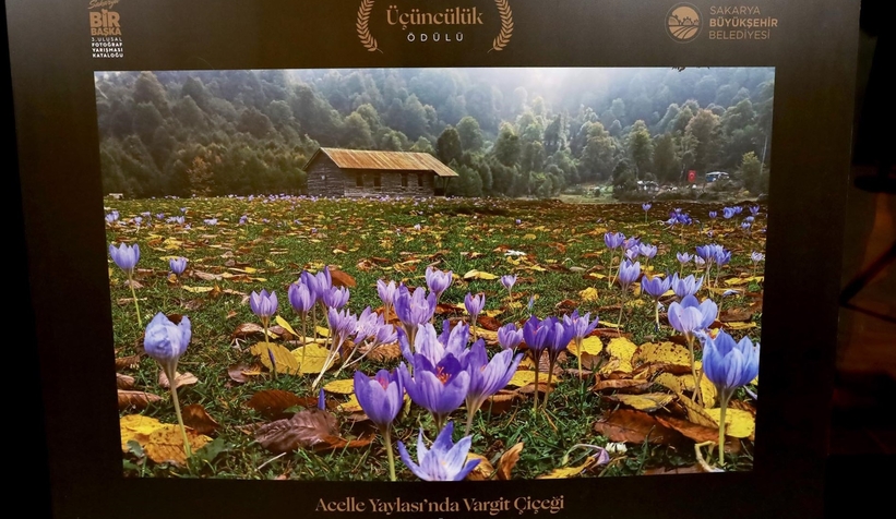 Sakarya Bir Başka fotoğraf yarışması ödülleri sahiplerini buldu