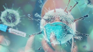 Sakarya bölgesinde 214 yeni vaka