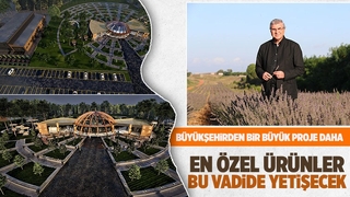 Sakarya Botanik Vadi Projesi'nde yeni gelişme