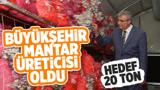 Sakarya Büyükşehir 20 ton istiridye mantarı üretimi hedefliyor