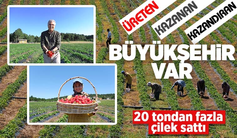 Sakarya Büyükşehir 20 tondan fazla çilek sattı