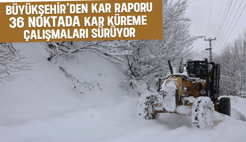 Sakarya Büyükşehir ekipleri 36 farklı grup yolunda karla mücadele ediyor