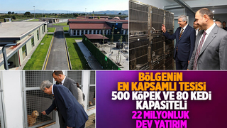 Sakarya Büyükşehirden sokak hayvanları için dev tesis