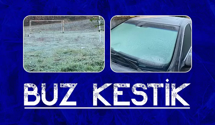 Sakarya buz kesti
