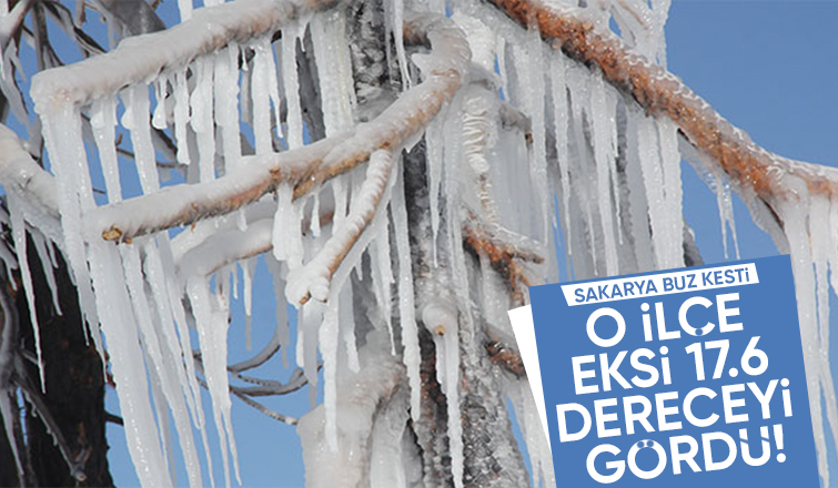 Sakarya buz kesti