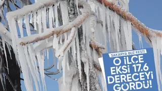Sakarya buz kesti