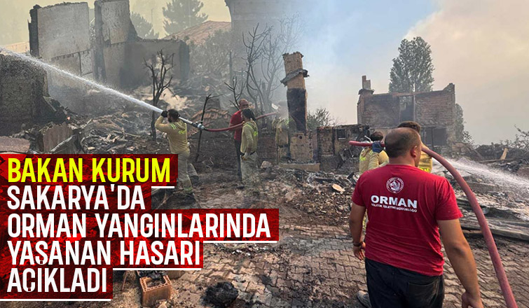 Sakarya'da 12 yapı yangınlarda zarar gördü