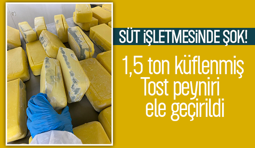 Sakarya'da 1,5 ton küflenmiş tost peyniri ele geçirildi