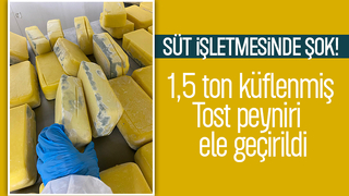 Sakarya'da 1,5 ton küflenmiş tost peyniri ele geçirildi