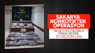 Sakarya'da 176 kilogram skunk ele geçirildi