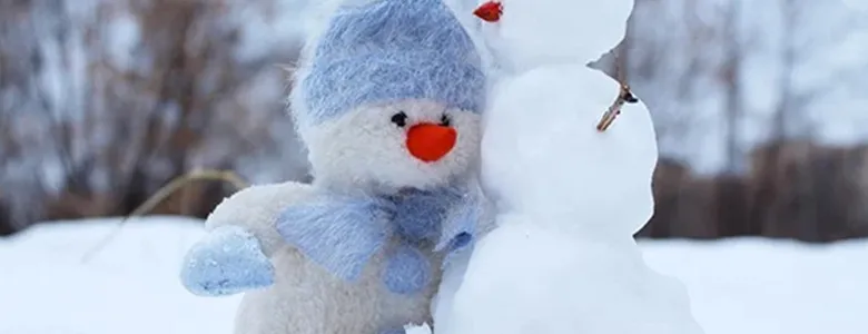 Sakarya'da 2 ilçede okullar tatil edildi