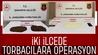 Sakarya'da 2 ilçede uyuşturucu operasyonu