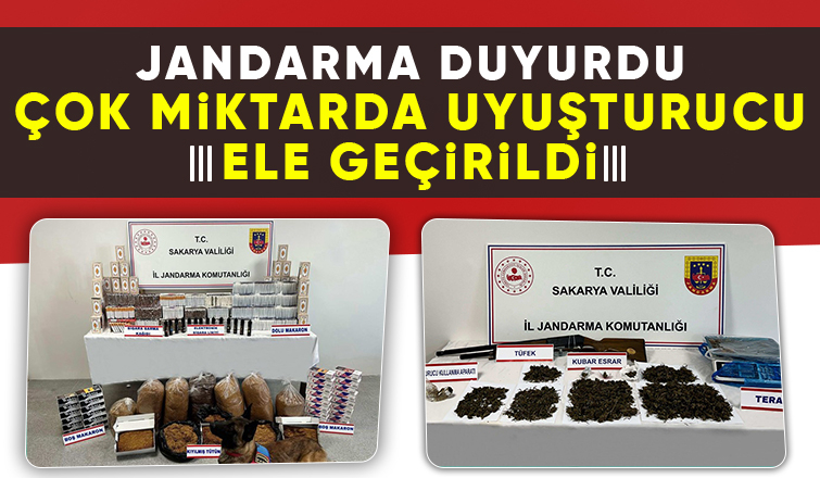 Sakarya'da 244 ayrı operasyonda 282 gözaltı