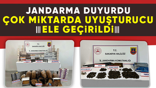 Sakarya'da 244 ayrı operasyonda 282 gözaltı