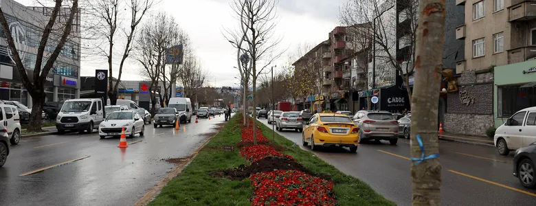 Sakarya'da 3 ayda 2 bin 500 ağaç toprakla buluştu