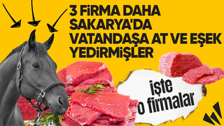 Sakarya'da 3 firmanın daha ürünlerinde at ve eşek eti çıktı