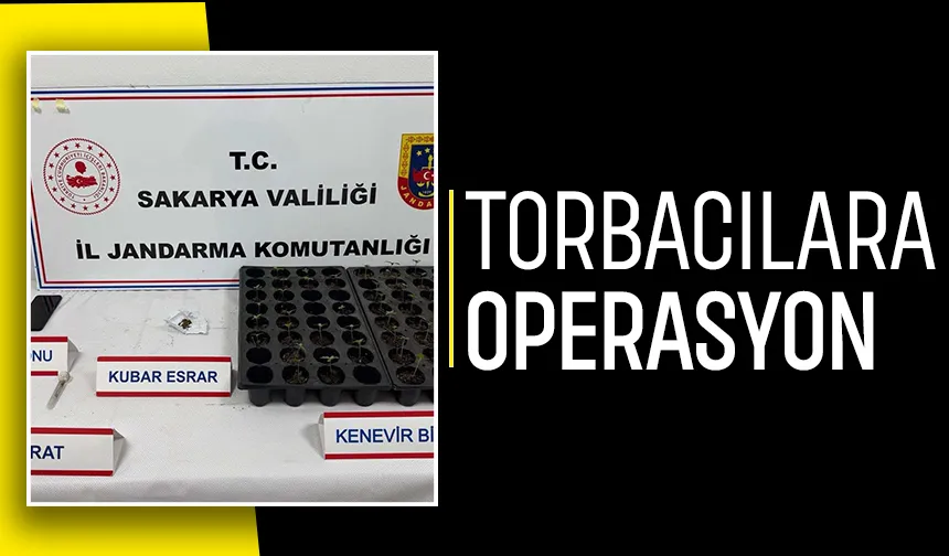 Sakarya'da 3 ilçede torbacı operasyonu