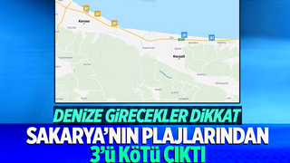 Sakarya'da 3 plaja kötü not