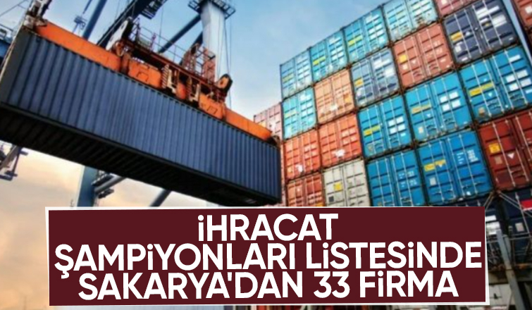 Sakarya'da 33 firma şampiyonlar liginde