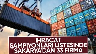 Sakarya'da 33 firma şampiyonlar liginde