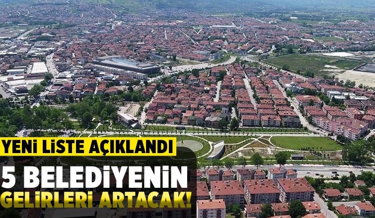 Sakarya'da 5 ilçe belediyesi 1. Lig'e çıktı!