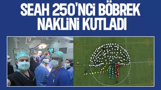 Sakarya'da 6 yılda 250 nakli yapıldı