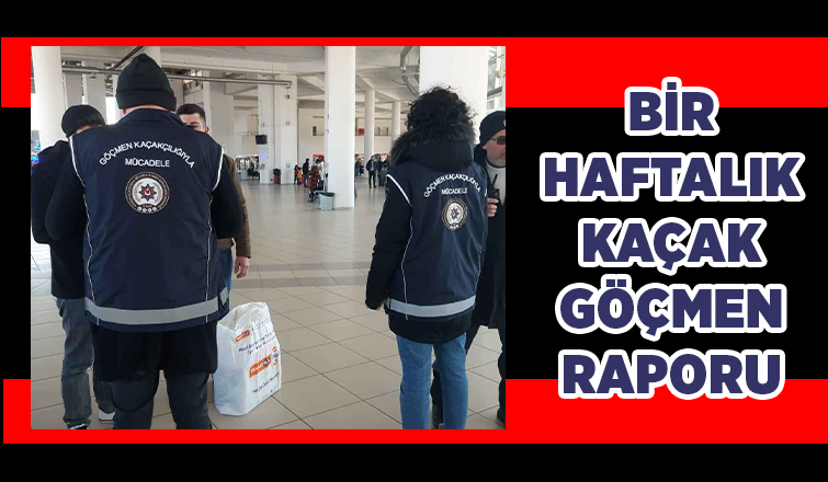 Sakarya'da 77 düzensiz göçmen yakalandı