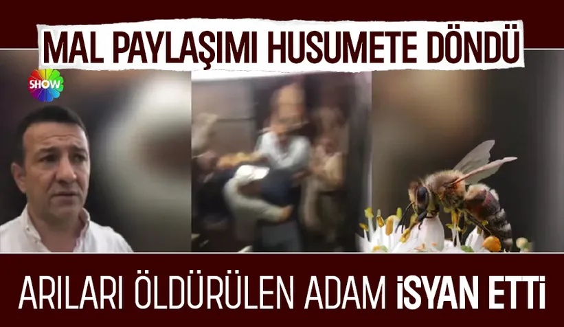 Sakarya'da arıları öldüren husumet!