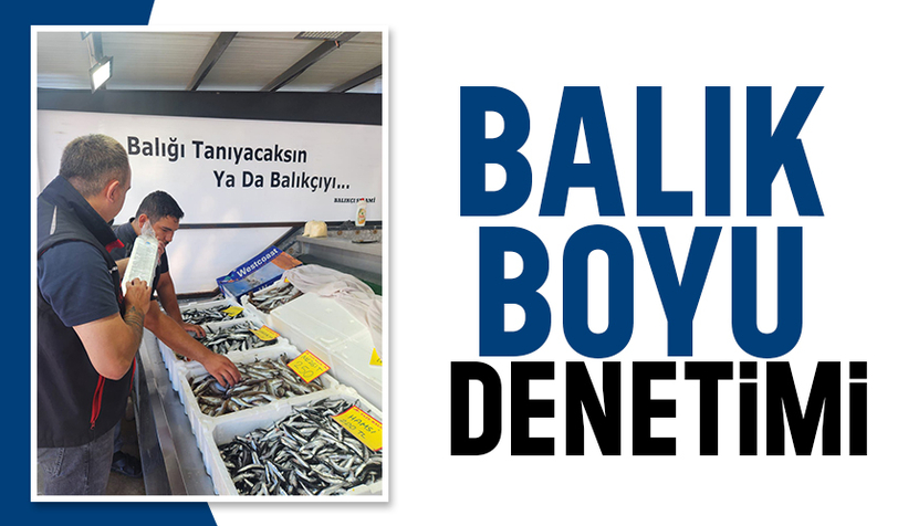 Sakarya'da balık boyu denetimi