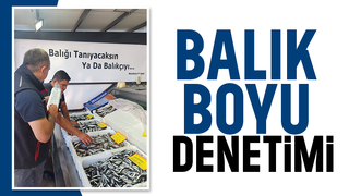 Sakarya'da balık boyu denetimi